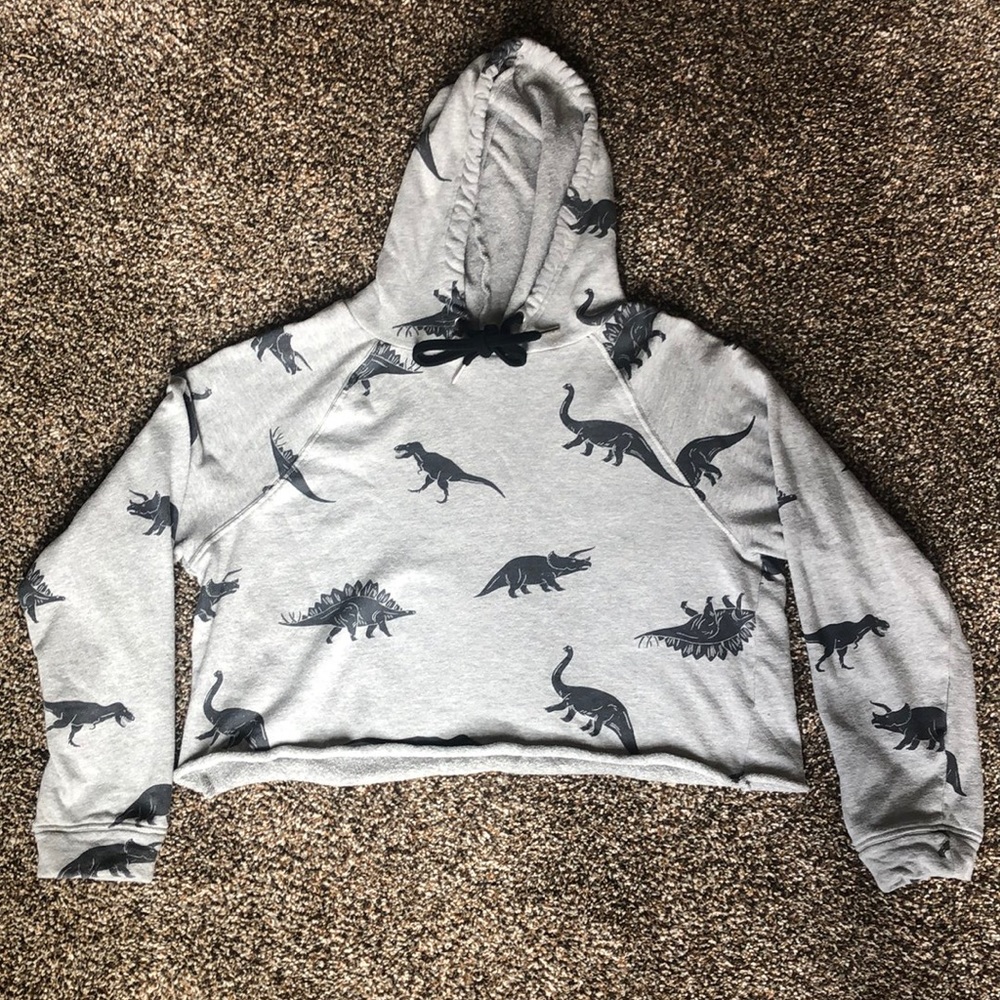 🦋 Dinosaur Cropped Sweatshirt